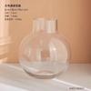 Jarrón de cristal transparente de lujo ligero con diseño de celebridades de Internet, flores secas para sala de estar, decoración creativa y sencilla con cultura del agua nórdica.