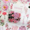 Pegatinas Transparentes para Diario de PET de Alto Valor Creativas de Dibujos Animados Plantas Flores Personalidad Materiales Decorativos Pegatinas Pequeñas para DIY