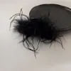 Desejo Puro Vento Clipe de Pena Fofa Clipe de Cabelo Feminino Cabelo de Avestruz Clipe Tubarão Acessório de Cabeça Outono e Inverno Parte Traseira da Cabeça Acessórios de Cabelo