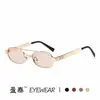 Nuevas gafas de sol de doble puente transfronterizas, gafas de sol poligonales de montura pequeña de moda callejera europea y americana, gafas de sol retro de moda
