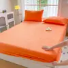 Lençol de Cama de Veludo Leite Cor Sólida Inverno 2026 Novo Colcha Espessa de Cobertura Total Protetor de Colchão de Fleece de Coral