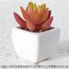 Suculentas Simuladas Personalizadas Cerámica Bonsái Plantas Verdes Escandinavas Adornos Hogar Interior Sala de Estar Flores Falsas Suculentas Plantas en Maceta