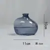 Vaso de Vidro Sódio-Cálcio Atacado Transfronteiriço, Vaso de Vidro Colorido de Luxo para Sala de Estar, Adequado para Arranjos de Flores Hidropônicas e Decorações com Flores Frescas