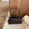 2026 Verano Nuevo Bolso Casual Elegante para Mujer Gran Capacidad Diseño de Nicho Estilo Coreano Bolso de Hombro Único
