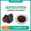Extrato em Pó de Chaga Ouro Negro Extrato de Chaga Agaricus Blazei Polissacarídeo de Chaga Pó de Chaga
