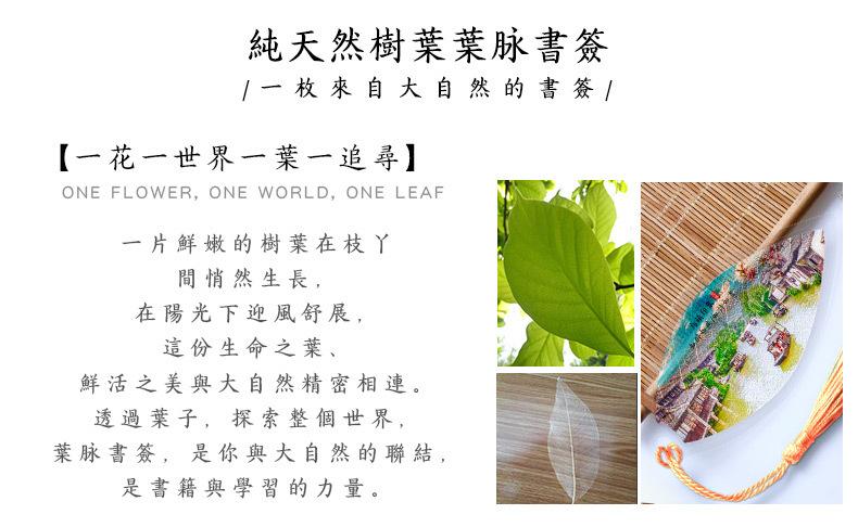 详情_02.jpg