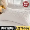 Fronha de travesseiro com óleo para cabeça anti-baba, fronha acolchoada anti-suor, individual para casa, um par de fronhas completas 48cmx74cm