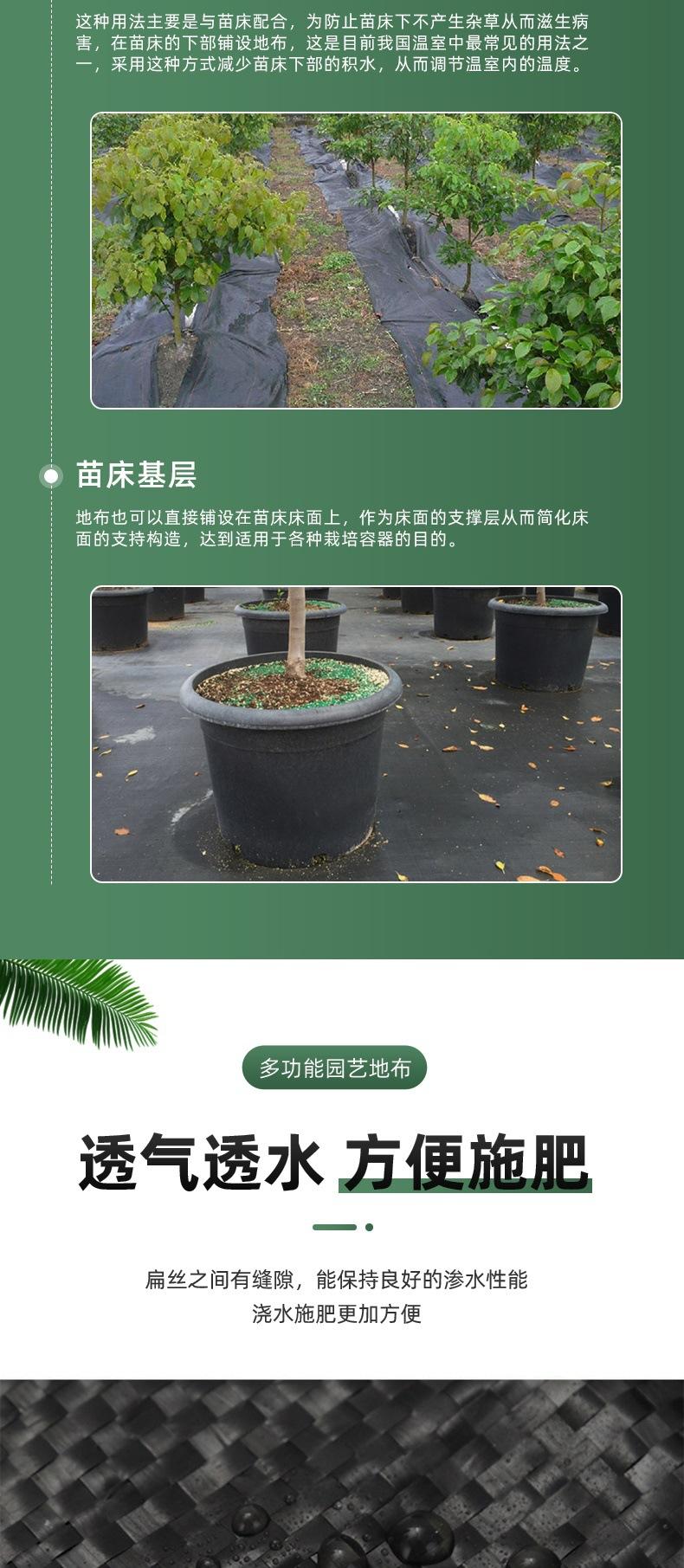 详情(3)_006.jpg