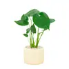 Planta de Monstera en Maceta para Escritorio de Oficina, Pequeña Planta Verde Purificadora de Aire, Decoración de Mesa para Interiores, Planta Fácil de Cuidar