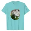 Camiseta Nueva con Estampado de Meme de Gato Sandía para Mujer, Moderna, Comercio Exterior, Holgada, Casual, Deportiva, Manga Corta