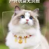 Coleira de gato feita de madeira de cânfora natural, especialmente projetada para repelir cães, acessório de pescoço ajustável, suprimentos para animais de estimação