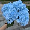 [Hortensia de imitación] Comercio exterior 5 Hortensias francesas Hortensia francesa plana para decoración de bodas flor falsa al por mayor