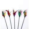 Juguete para Gatos con Caña Larga, Plumas de Colores y Cascabel, Suministros para Mascotas Auto-Entretenidos, Juguete de Sonido de Plumas para Gatos