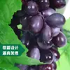 Racimo de uvas de fruta y verdura artificial plástico blando uva fruta techo supermercado decoración de jardín de infantes fruta falsa