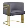 Sillón individual, acero inoxidable color dorado de lujo ligero, moderno minimalista para sala de estar, recepción de ocio y silla de reunión