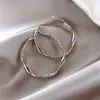 Brincos de Argola Femininos Levemente Luxuosos Sensação de Alto Padrão Brinco Grande Exagerado 2024 Novo Estilo Estilo Quente Brincos Elegantes Brincos