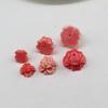 Polvo de Concha Perlas de Loto Prensadas Pulsera de Cristal DIY Nube Trasera Resina Loto Rosa Llavero de Mesa Accesorios
