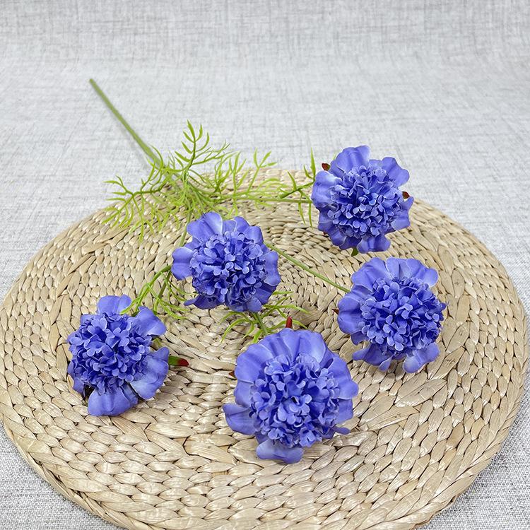 13# 5头燕山松虫草-sxcysx-紫蓝 4元.JPG