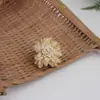 Ventas Directas de Fábrica 2025 Douyin Nuevos Accesorios para el Cabello Accesorios Flores de Tela Exquisitos Accesorios para Ropa Broche Joyería Crisantemo Coreano