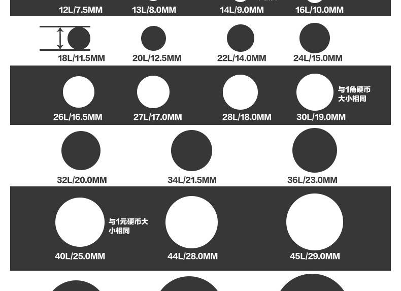 四眼珍珠贝_11.jpg