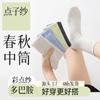 [Novo] Meias de Fio Pontilhado Femininas Cano Médio Japonesas Sem Costura Primavera e Outono Estudante Versátil Moda Meias Femininas