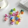 Pinzas para el flequillo de niños, Pinzas pequeñas de princesa para niñas pequeñas, Mini pasadores para bebés, Pinzas para el flequillo, Mini accesorios para el cabello