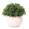 Combinación más vendida de Amazon de plantas en maceta simuladas, Muebles de escritorio para el hogar estilo nórdico, Plantas verdes, Mini bonsái de planta simulada
