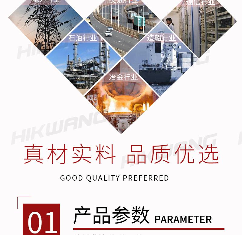 co-100s_03
