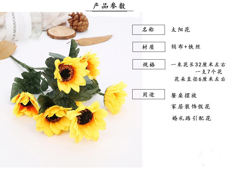 七头太阳花.jpg