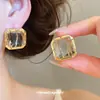 ¡Fresco y Lujoso~ Aretes Cuadrados de Cristal Aguja de Plata y Perforaciones, Aretes de Estilo de Lujo Ligero de Gama Alta, Accesorios para Orejas Modernos y Versátiles