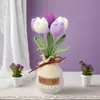 Tulipán de Color Graduado Terminado, Prímula, Orquídea Mariposa, Jarrón de Lana, Planta en Maceta, Adorno de Decoración para el Hogar, Bonsái de Escritorio