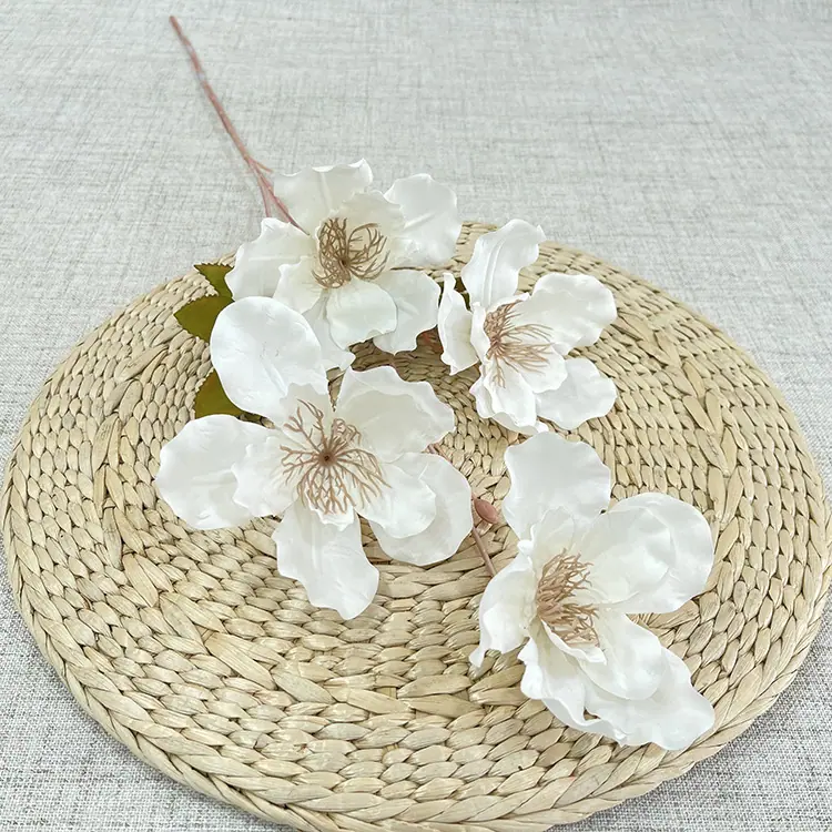 4头大芙蓉花-白色.JPG