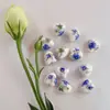 Calcomanía de Corazón de Melocotón Cuentas de Cerámica con Perlas Cuentas de Cerámica Estilo Chino Accesorios Hechos a Mano para DIY Pulsera Accesorios para Collar Material