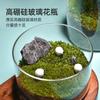Adornos de Jarrón de Vidrio Transparente para Micropaisaje al por Mayor Botella Ecológica Hidropónica DIY Tarro de Musgo Maceta de Vidrio para Suculentas