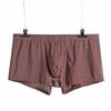 Junyou Homens Ice Silk Transparente Cueca Cintura Baixa Fina Verão Sexy Boxers Respirável Slim-Fit Trendy Calças Masculinas Jovens