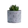 Precio de fábrica se puede personalizar logo maceta maceta planta carnosa gres simple creativo jardinería del hogar escritorio bonsái