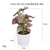 Más de 100 Tipos de Flores Artificiales y Plantas Verdes, Combinaciones de Plantas Artificiales en Maceta de Plástico, Flores Artificiales de Venta Caliente Transfronteriza, Mini Bonsáis Artificiales, Fuentes de Suministro