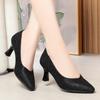 Zapatos de una sola capa color champán para mujer primavera y verano nuevos zapatos de mujer punta temperamento zapatos de dama de honor uso diario nude tacones altos franceses