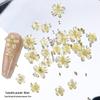 Celebridade da Internet Explosivo Glitter Flor de Cinco Pétalas Joias para Nail Art Flor Branca de Resina Tamanho Pétalas Flor Amarela Pequena Acessórios para Unhas