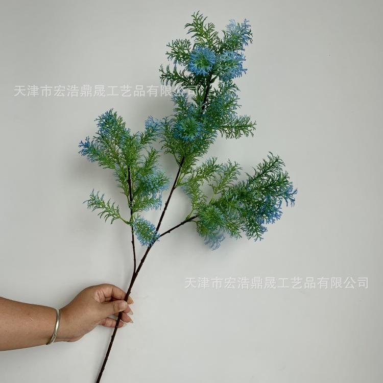 微信图片_20230904085318_副本