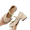 Zapatos Mary Jane ligeros de estilo francés para mujer, nuevos otoño 2026 tacones altos gruesos vintage para combinar con faldas, zapatos pequeños de cuero