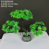 Decoração de Enfeite de Mesa Pinheiro Bem-vindo Pequeno Pinheiro Plantas Verdes Plantas Aquáticas Mini Rochedo Aquário Paisagismo Hotel