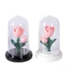 Luz de Noche Creativa Tulipán Flor Eterna Transfronteriza Adornos Decorativos Regalo de Cumpleaños Regalo del Día de San Valentín Chino Atmósfera