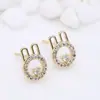 Accesorios DIY Aguja de plata 925 aretes de conejo versión coreana de aretes chapados en circonita oro de 14K accesorios venta al por mayor