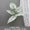 Pico de bambu de galho alto céu estrelado dente-de-leão verde escuro verde claro estilo floresta celebração de casamento decoração marcador de corredor arranjo de flores teto alto material de folha