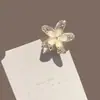 Pinza Pequeña para el Cabello con Piedra Ojo de Gato para Mujer, Hermoso y Exquisito Pasador Lateral, Pinza de Pelo de Gama Alta para Peinado Semirecogido, Elegante Pinza de Tiburón