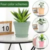Vasos de Flores Mais Vendidos no E-commerce Transfronteiriço, Vasos de Jardinagem Internacionais com Furos de Drenagem e Suportes para Vasos, Disponíveis em Várias Cores