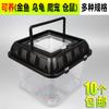 Tanque para Tortugas, Tanque para Peces Dorados, Caja para Mascotas, Caja de Plástico para Tortugas, Botella Portátil para Tortugas, Copa para Betta, Caja Transparente para Hámsteres, Caja Cuadrada Pequeña y Mediana