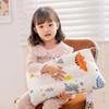 Ins nueva almohada con forma de Doudou para niños almohada de algodón para siesta en el jardín de infantes almohada de regalo transfronteriza una generación de cabello