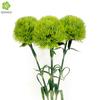 Arreglo Floral de Boda Flores Artificiales Flor de Bambú Piedra Verde de Alta Calidad Personalizado Bolas de Pelo Verde Decorativas de Bosque Flor Artificial Venta al Por Mayor